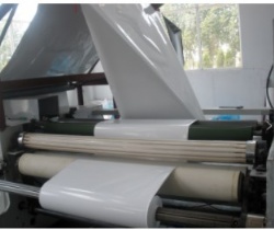 Biodegradable Film Roll PE