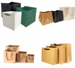Hand Paper Bag