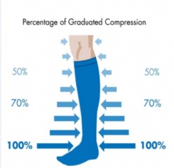 Compression Varicose Vein  Stockings